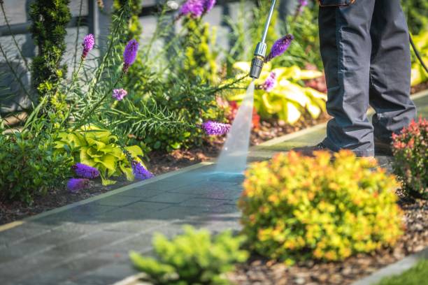 Reliable Sharon Hill, PA Pressure Washing Services Solutions