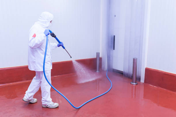 Best Pre-Holiday Cleaning  in Sharon Hill, PA