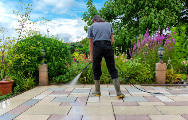 Best Sidewalk and Walkway Cleaning  in Sharon Hill, PA